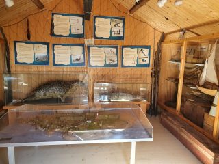 Hylkeenpyyntimuseo on mielenkiintoinen käyntikohde Tankarin reissulla. Museossa kerrotaan alueen hylkeenpyynnistä ja on mm. täytettyjä hylkeitä.